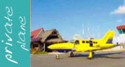 Private Charter Plane