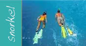 Snorkel Purchase
