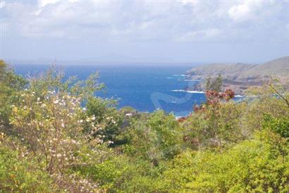 Lucia Real Estate on Property Sales Real Estate   Bequia  St Vincent   The Grenadines