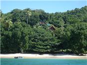 Turtle Point & Flamingo Beach Villas picture 2