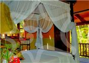 Spring House picture 2