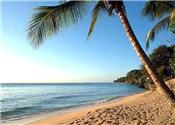 Alang Alang Villa - Barbados picture 2