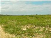 12 acre Yatu Baku picture 2