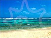 Richmond Bay 16 acres - Union Island picture 2
