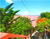 Bequia Tree Tops picture 2