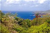 Rocky Bay Estate - Plot 4 picture 2