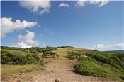 St Hilaire Point 55 acres - Bequia picture 2