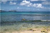 Beachfront Carriacou 4.2 acres Prospect Estate - Carriacou picture 2