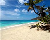 Beachfront Land 1/2 Acre Plots