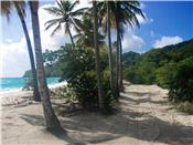 Beachfront Land 1/2 acre plots picture 2