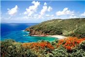 PRIVATE COASTAL ESTATE 10 Acres - Bequia picture 2