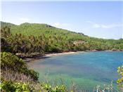 Ocean Ridge 1.1 acres picture 2