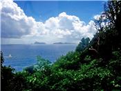 Hope Estate 4.2 acres headland Lot F picture 2