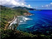 Hope Estate 3.5 acres hillside Lot D picture 2