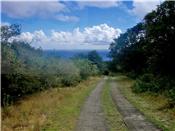 Hope Estate 3.75 acres hillside Lot C picture 2