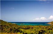 Bequia 14 acres Beachfront picture 2