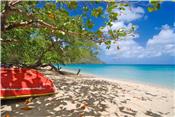 Kingsville Appartments picture 2