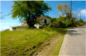 Young Land Cap Estate picture 2