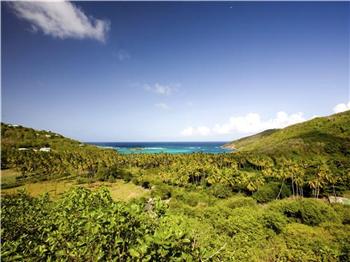 Firefly Plantation at Spring for sale as a whiole or in two lots - Bequia