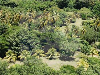 Industry LAND lot