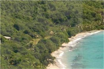 Adams Bay Hillside Land 1/2 acres