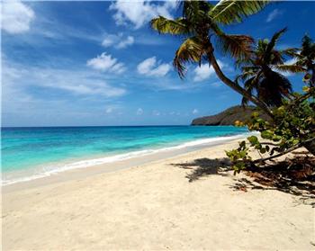 Beachfront Land 1/2 acre plots