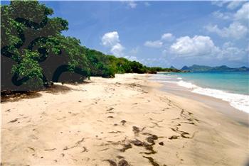 Mayreau 5 acres beachfront