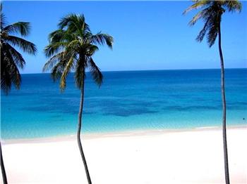 Bequia Al Villas Hotels Apartments Mango Cottage Beach Location